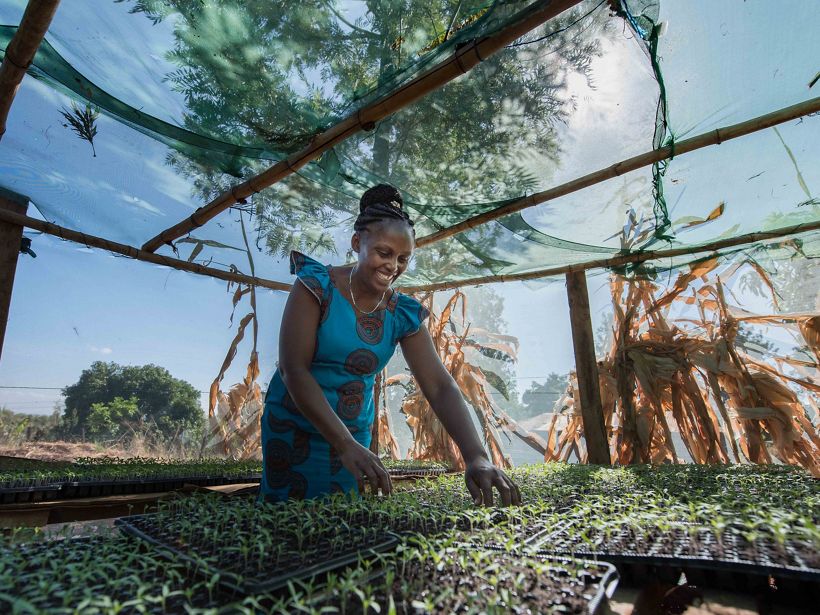 Avec l’aide de l'UTNWF, Mercy Wachira a pu installer un réservoir de collecte des eaux de pluie et diversifier ses cultures. © Roshni Lodhia